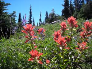 Christmas 06- July 07 223